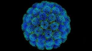 Resultado de imagen de virus modificado